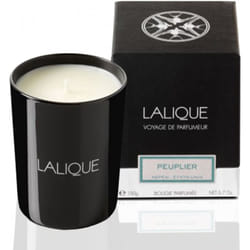 Lalique Candle 190g - Peuplier Aspen