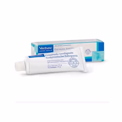 Enzymatic Toothpaste Fish Flavour 43G - Virbac Ltd