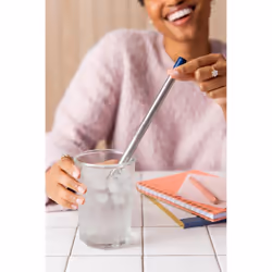 LifeStraw Sip - Reusable Stainless Steel Water Filter Drinking Straw with Carry Case  Removes Microplastics  Bacteria and Parasites for Travel and Eve