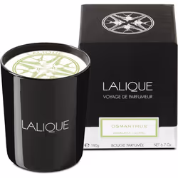 Lalique Candle 190g - Osmanthus Himalaya