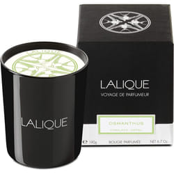 Lalique Candle 190g - Osmanthus Himalaya
