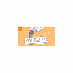 Bowel Health Test detects Hidden faecal Occult Blood (FOB) in a Stool Sample, Results in 5 Minutes, Home use