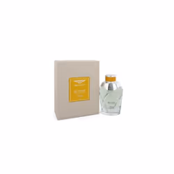Bentley Beyond The Collection Wild Vetiver 100ml EDP Spray