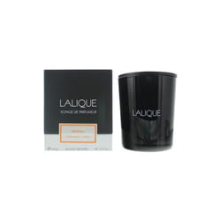 Lalique Candle 600g - Neroli Casablanca