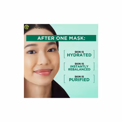 Garnier Green Tea Sheet Mask (Green) x10