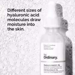 [The Ordinary] Hyaluronic Acid 2% + B5 30ml