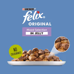 Felix Mixed Selection in Jelly Cat Food, 120 Pouches, 120 x 100 g