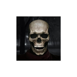 Full Head Skull Mask with Movable Jaw, Halloween Scary Mask, Head Realistic Latex Mask