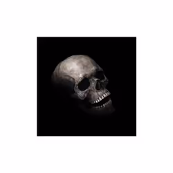 Full Head Skull Mask with Movable Jaw, Halloween Scary Mask, Head Realistic Latex Mask