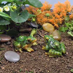 2pcs Frog Statue Resin Animal Garden Statue Funny Frog Sculpture Suitable for Home Desk Decoration-