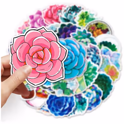 Succulent plants are waterproof for teenagers and children, and unique vinyl stickers Computer thermos cups luggage and mobile phones are 50Pcs.