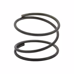 Fuel Filter Spring