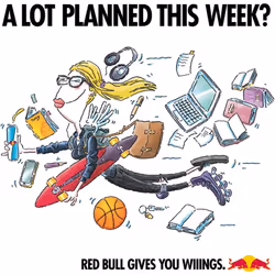 Red Bull Energy Drink Sugar Free, 250 ml (Pack of 12) UK