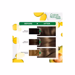 Garnier Hair Treatment and Hair Mask Naturals Creme Hair Colour 6.1 Dark Ash Blonde
