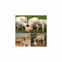 Himalayan Organic Sheep Pet Licking salt pure pink rock chunk 3-5KG
