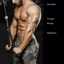 Tricep Rope Pull Down Bicep/Tricep Rope gym Body Extensions for Fitnes