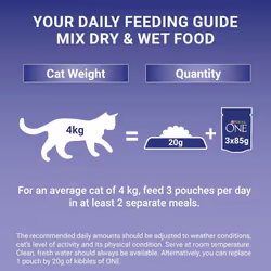PURINA ONE Mini Fillets Mixed Selection in Gravy Wet Cat Food 40x85g