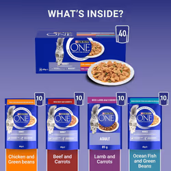 PURINA ONE Mini Fillets Mixed Selection in Gravy Wet Cat Food 40x85g