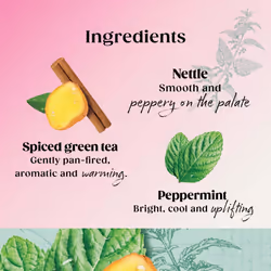 Twinings Superblends Metabolism Tea - Peppermint & Spiced Green Tea Herbal Infusion with Nettle & Zinc, Metabolism Booster Tea, 80 x Biodegradable Tea