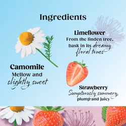Twinings Superblends Unwind Tea - Strawberry Herbal Tea Infusion with Camomile, Lemon Balm, Limeflower & Vitamin B12, 80 Biodegradable Tea Bags