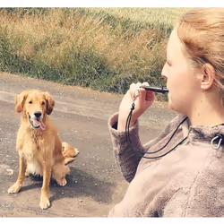 Acme dog whistle no.211.5, from England, ideal for dog training, robust material, standard frequency, loud and far-reaching