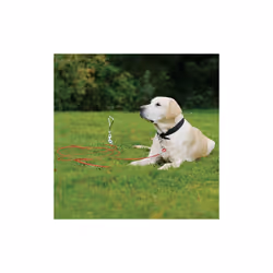 Rosewood Yard Accessories Stake-Out Spike