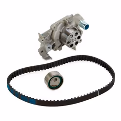 MAGNETI MARELLI 132011160027 Water Pump + Timing Belt Kit 87 828 17 RENAULT: CLIO 2, Kangoo I Express, Kangoo I