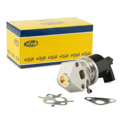 MAGNETI MARELLI 571822112013 EGR valve VOLKSWAGEN: Caddy 3, Golf 4, Golf 5, SKODA: Fabia I Hatchback, Fabia 1 Combi, SEAT: Arosa, Ibiza 3