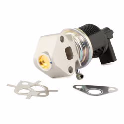 MAGNETI MARELLI 571822112013 EGR valve VOLKSWAGEN: Caddy 3, Golf 4, Golf 5, SKODA: Fabia I Hatchback, Fabia 1 Combi, SEAT: Arosa, Ibiza 3