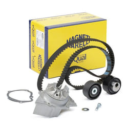 MAGNETI MARELLI 132011160040 Water Pump + Timing Belt Kit 141 1343 25,4 PEUGEOT: 306 Hatchback, 206 Hatchback, 406 Estate