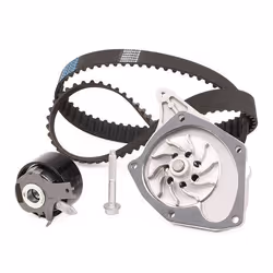 MAGNETI MARELLI 132011160012 Water Pump + Timing Belt Kit 123 1172 27 RENAULT: CLIO 2, CLIO 3, MEGANE 3 Coupe, NISSAN: Qashqai / Qashqai+2 I, Note I