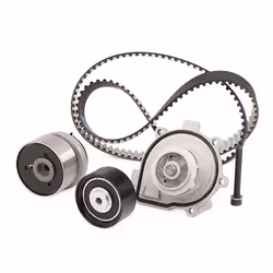 MAGNETI MARELLI 132011160020 Water Pump + Timing Belt Kit 146 1168 24 VAUXHALL: Zafira Mk2, Insignia Mk1, Astra Mk6, ALFA ROMEO: 159 Saloon