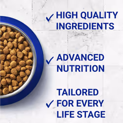 Purina One Adult Cat Chicken 800g