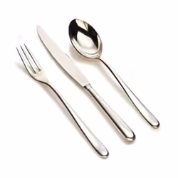 Alessi Caccia Dessert Spoon  Silver