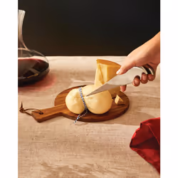 Alessi AD01 kitchen knife