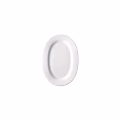 Alessi AJM28/22 dining plate