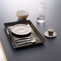 Alessi Santiago Salad Set  8 x 29.5 x 5 cm  Silver