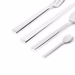 Alessi Pcs Santiago 24 Piece Set  Silver
