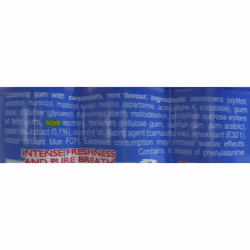 Mentos pure fresh breath sugarfree chewing gum 6 Pack