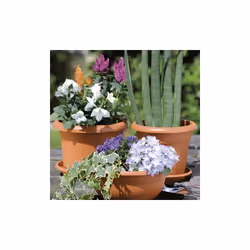 Stefanplast 001016663 not categorized - Additional view 3