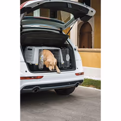 Kerbl 81340 pet carrier Car pet carrier