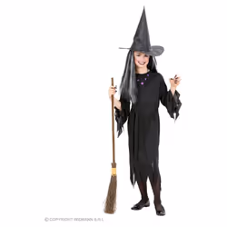 WIDMANN 02508 fancy dress prop/accessory