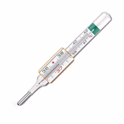 VedoecoPlus Glass Thermometer Pack of 1