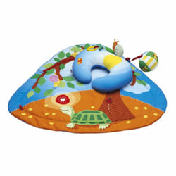 Chicco 00002572000000 baby gym/play mat Multicolour