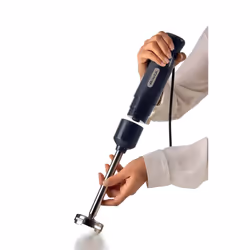 Ariete 0601/10 0.6 L Immersion blender 700 W Grey
