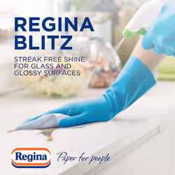 Regina Blitz Household Towels 6 Rolls Per Pack, 3-ply Kitchen Roll, 100 Sheets Per Roll, Paper Packaging, FSC Certified Paper, Recyclable Packaging