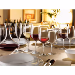 Bormioli Rocco Premium Flute Glass  Set of 4  8.5 oz  Clear