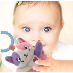 Baby Lovely Cat rattle