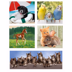Clementoni Supercolor 20283 puzzle Jigsaw puzzle 18 pc(s) Animals