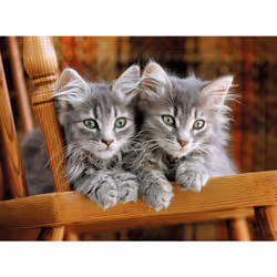 Clementoni Kittens Jigsaw puzzle 500 pc(s) Fauna - Additional view 2